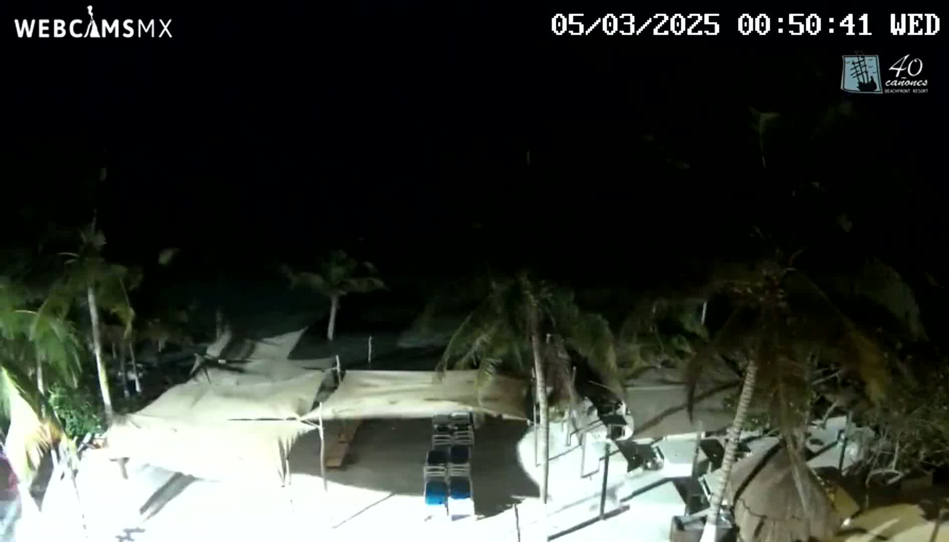 A nighttime, outdoor view of a beach area shows palm trees, covered outdoor furniture, and a sandy area.