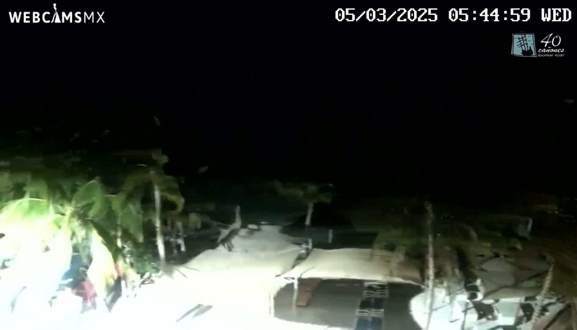 A nighttime, outdoor scene shows a beach area with palm trees swaying in the wind, and some structures are visible under a dark sky.