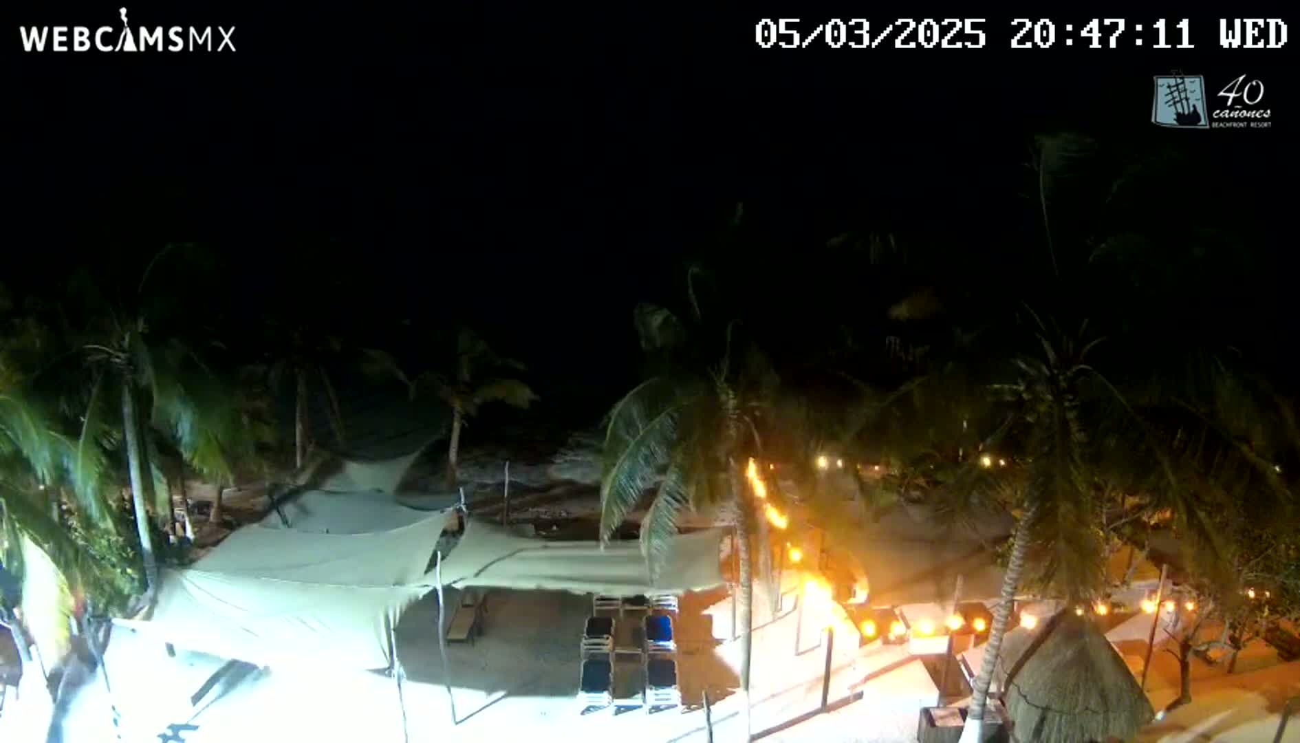 A nighttime beach scene shows palm trees swaying in the wind, lit-up outdoor seating areas, and a partially covered beach under a dark sky.