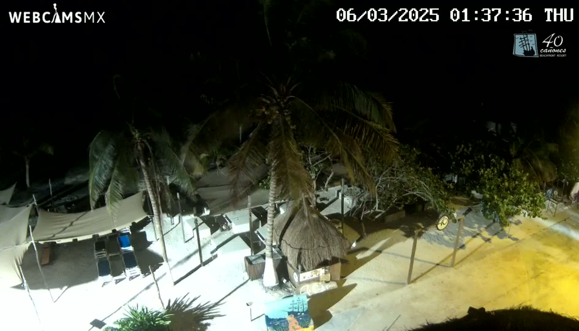 A nighttime overhead view of a beach area with palm trees, beach chairs, and a thatched-roof hut under clear skies.