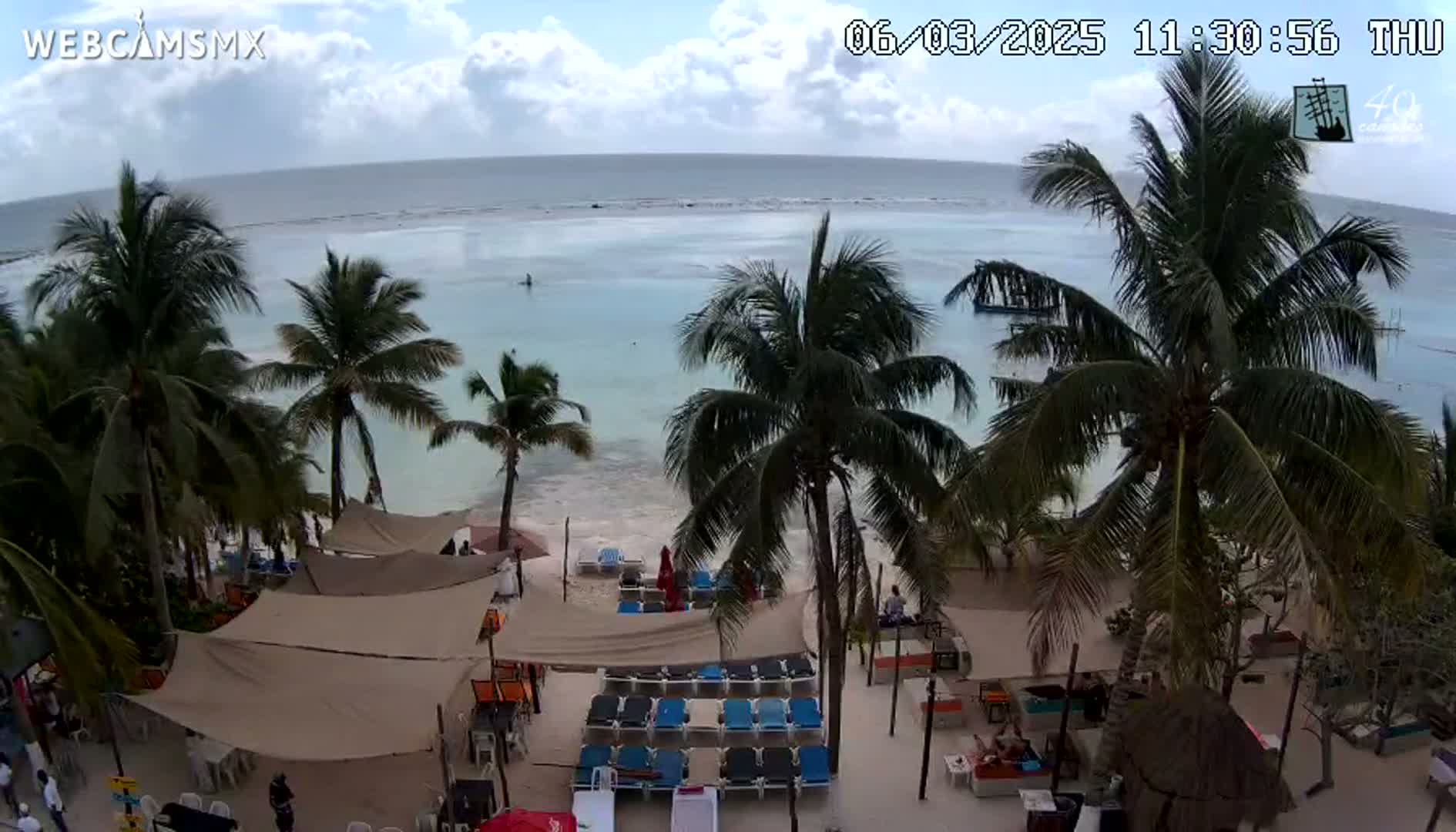 A beachside resort with palm trees under a partly cloudy sky, showing lounge chairs and beach umbrellas on the sand next to calm, light-blue water.