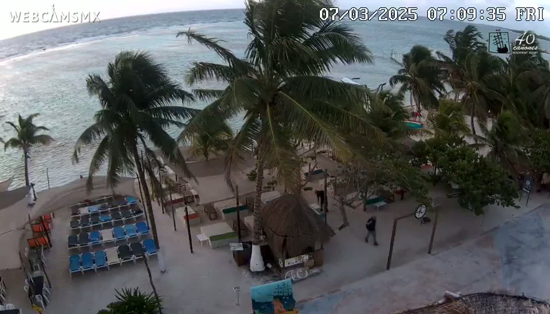 A beachside outdoor scene shows a calm body of water, palm trees swaying in a windy day, beach chairs and lounge areas, and a few people walking along a sandy pathway.