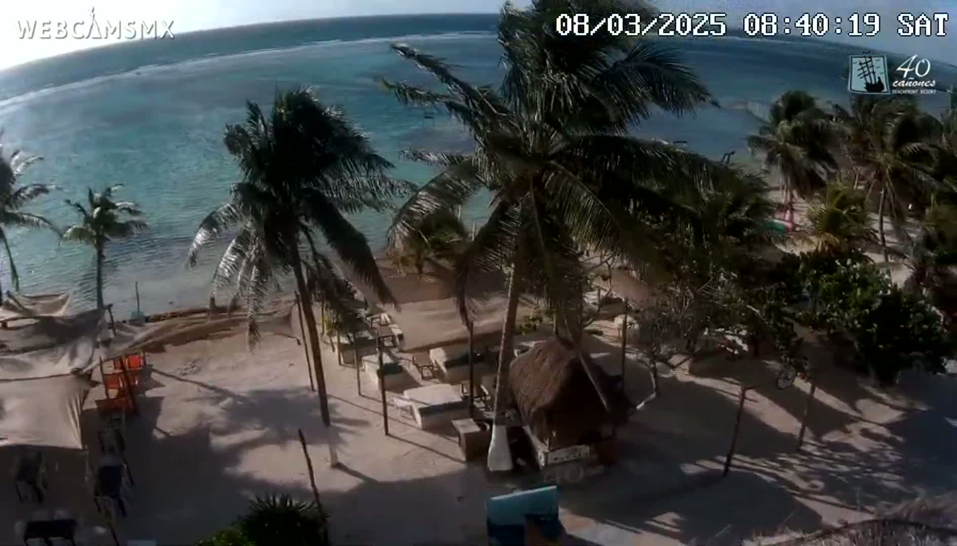 A beachside resort with palm trees is shown on a sunny day, overlooking a calm, turquoise ocean.