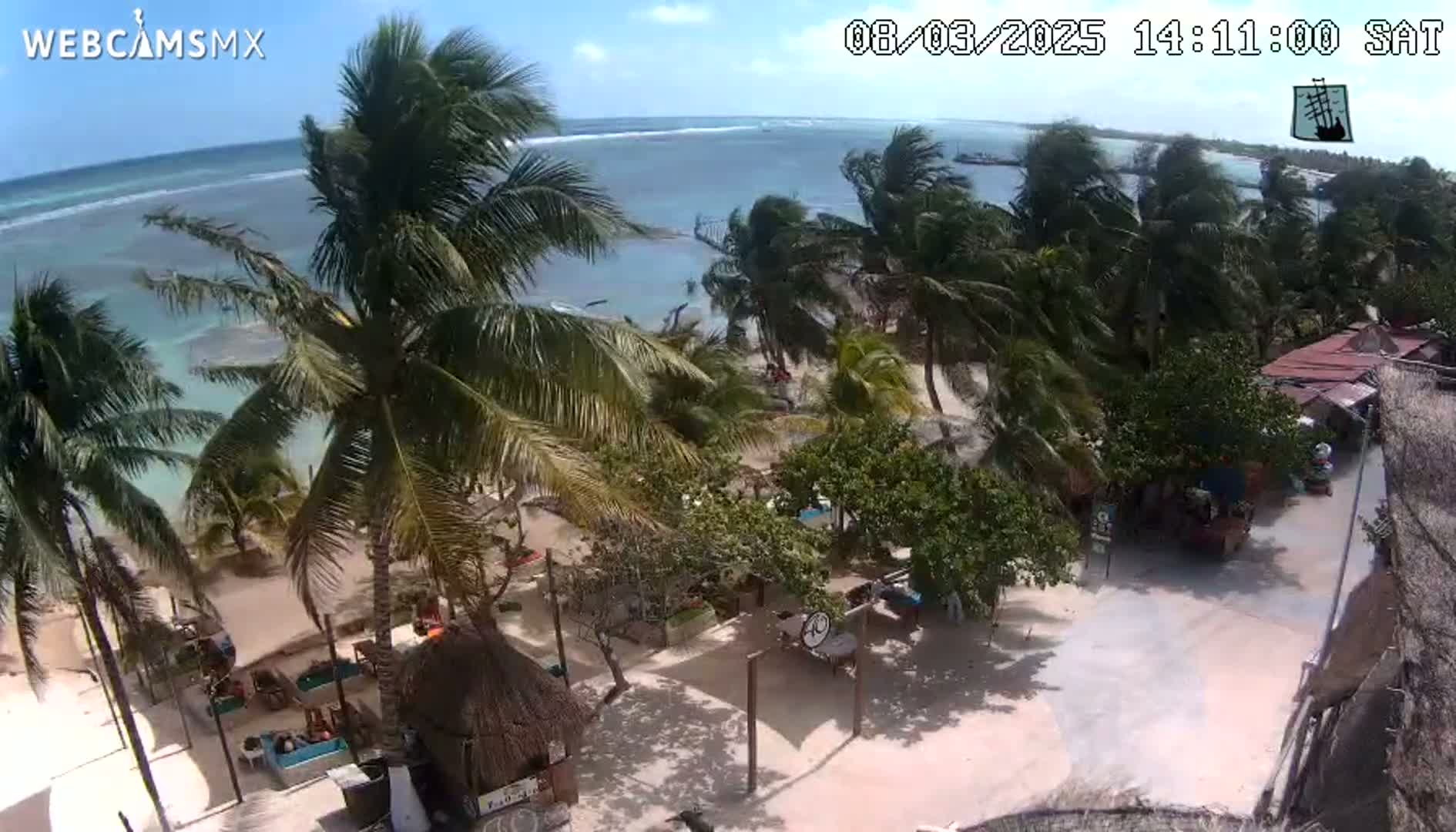 A beachside scene with palm trees swaying in the wind under a mostly sunny sky shows a sandy area with beach huts and outdoor seating near the ocean.