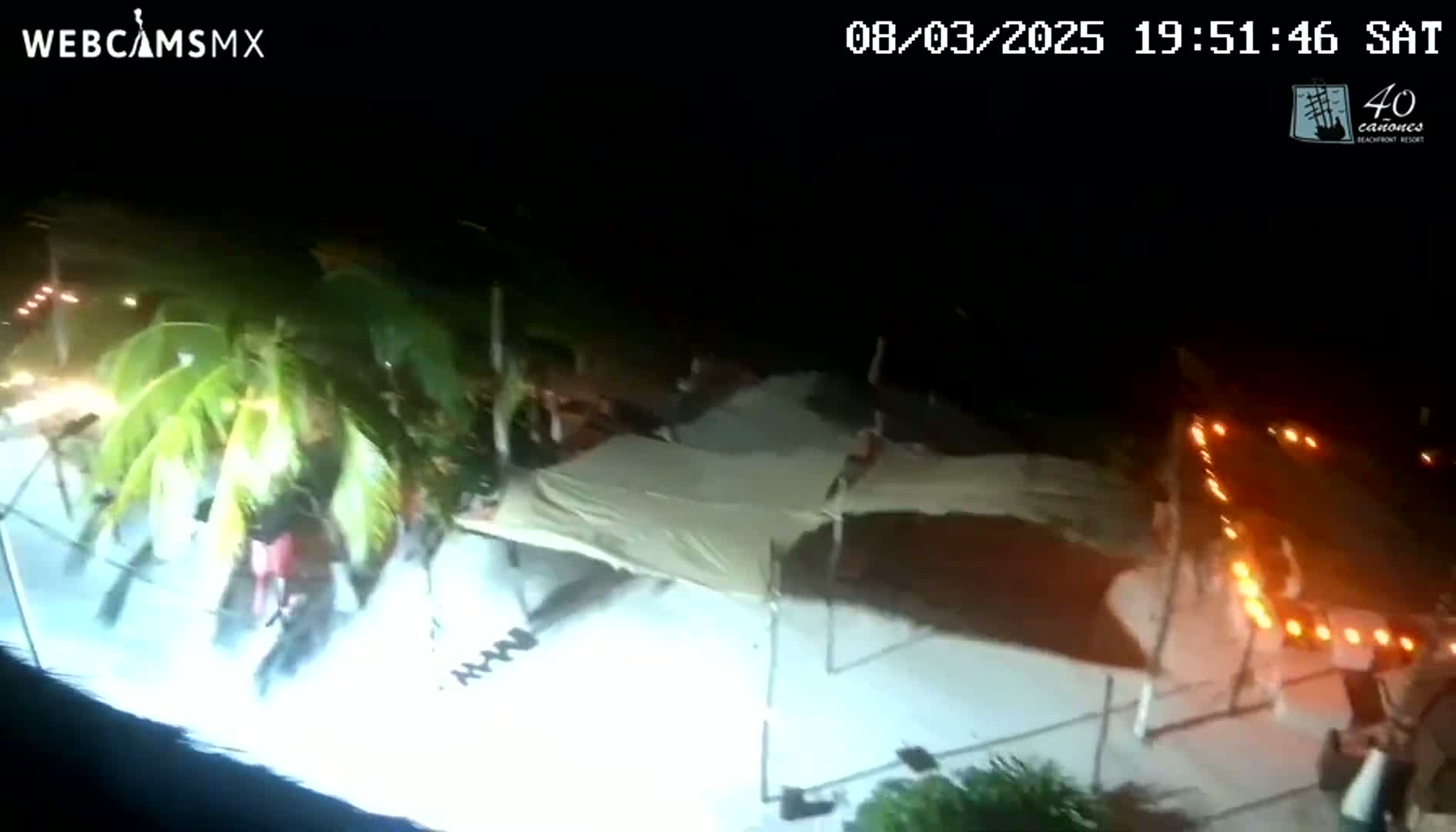 A nighttime outdoor scene shows a light-colored canopy structure and palm trees illuminated by lights and what appears to be string lights outlining a patio area.