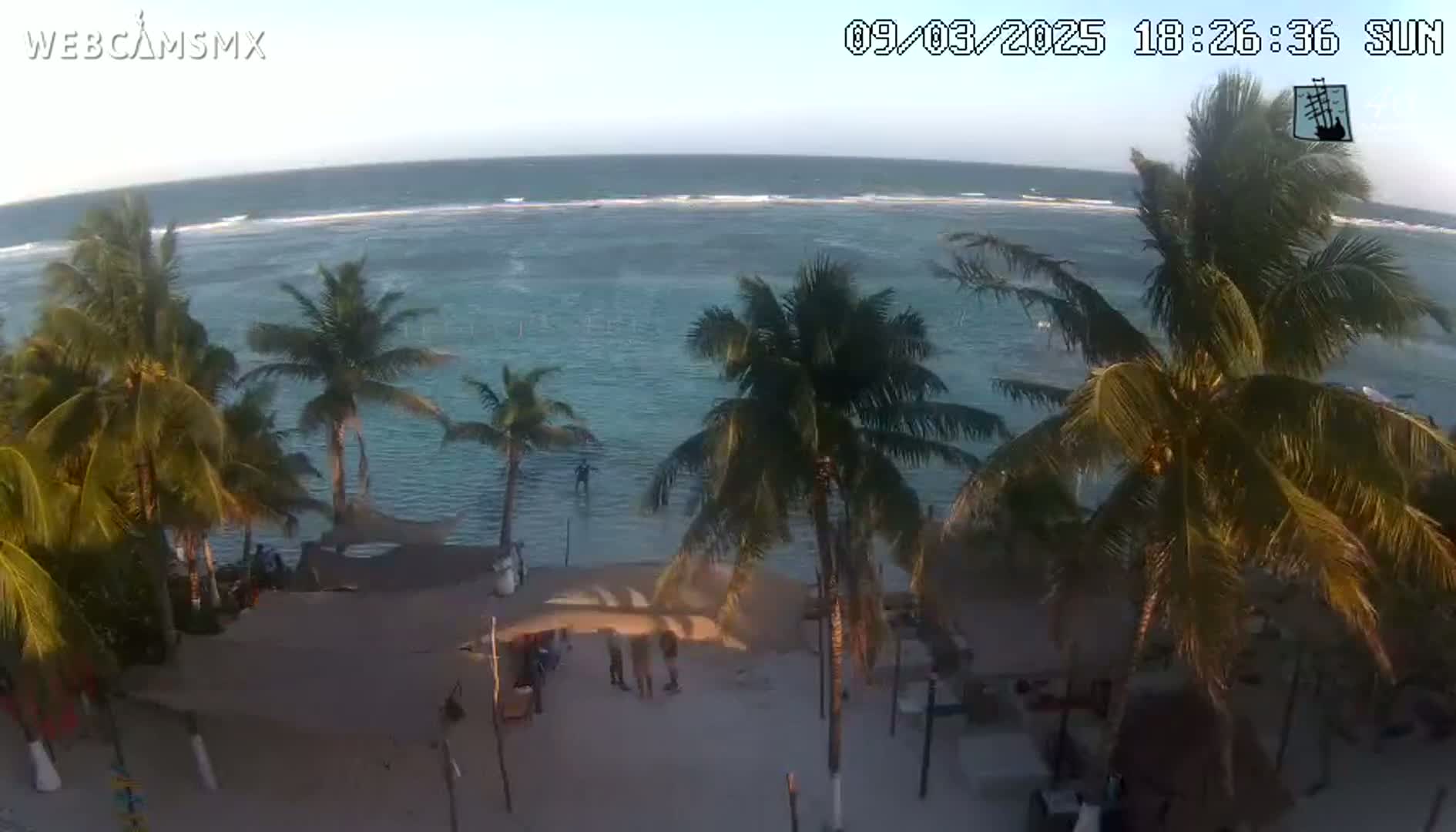 An aerial view shows a beach with palm trees, a few people, and calm ocean water with small waves under a clear sky.