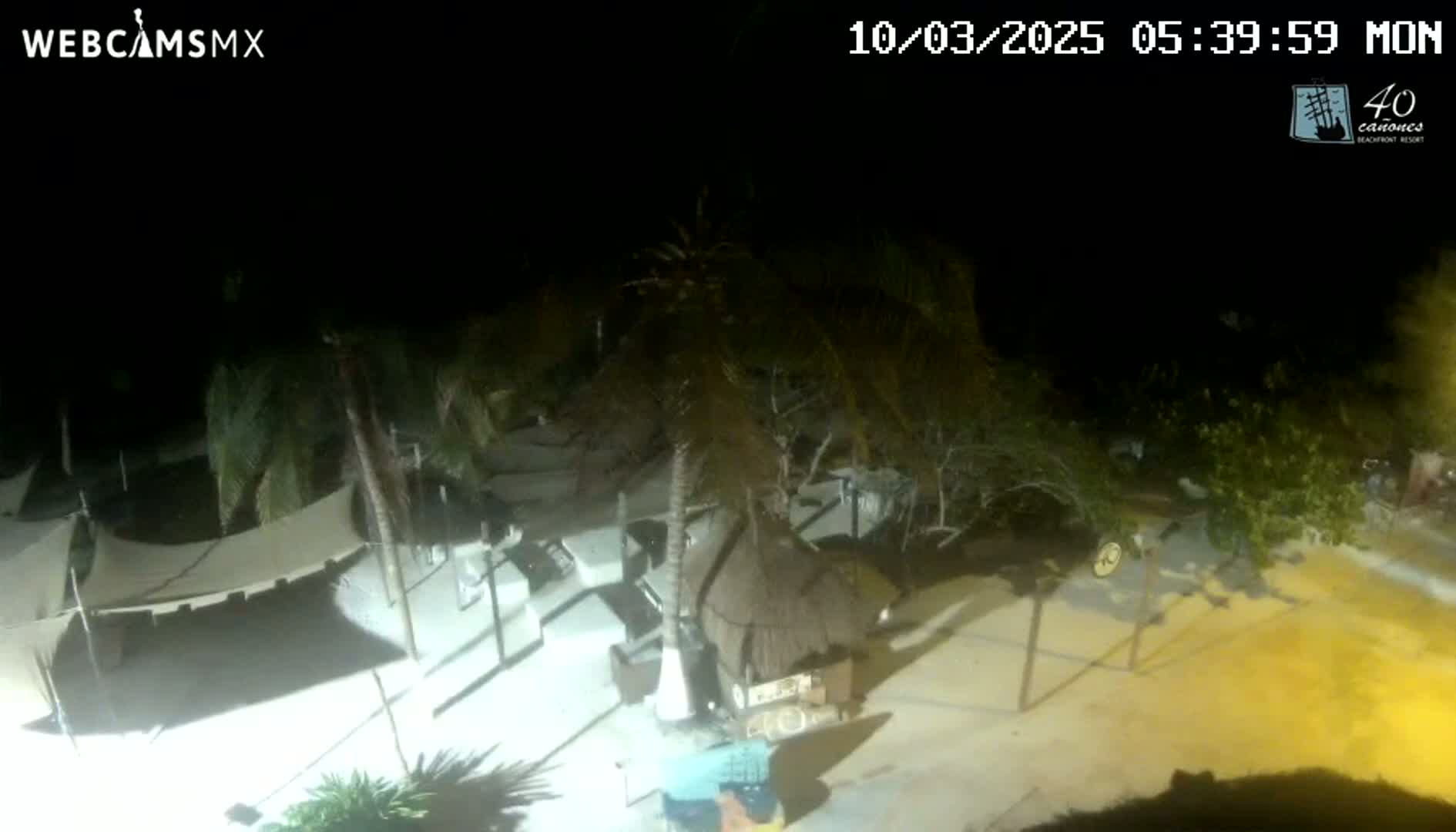 An outdoor nighttime scene shows a beach area with palm trees, some shaded seating areas, and a small hut, under a clear, dark sky.
