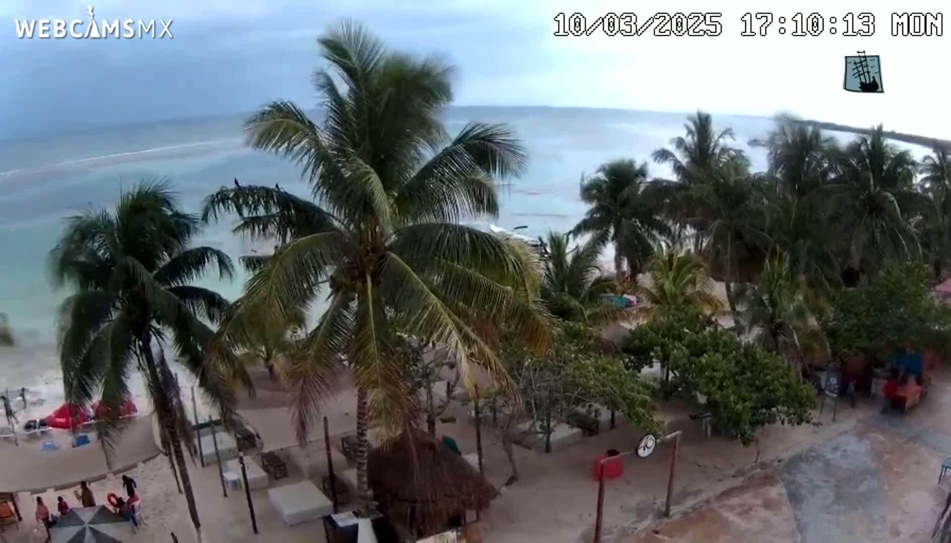A beach scene with palm trees under an overcast sky shows a sandy shoreline and calm, light-blue water.