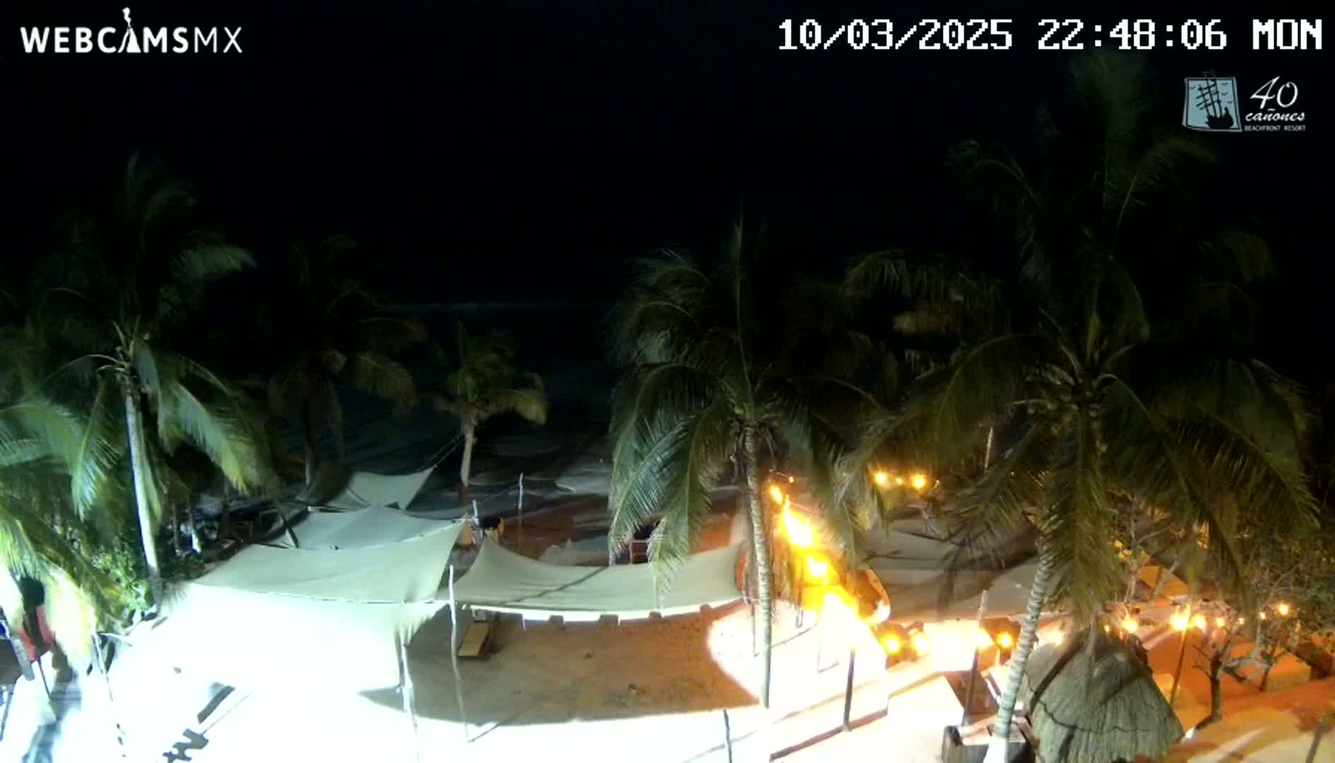 A nighttime beach scene with palm trees, outdoor lighting, and white canopies near a dark ocean under a clear sky.