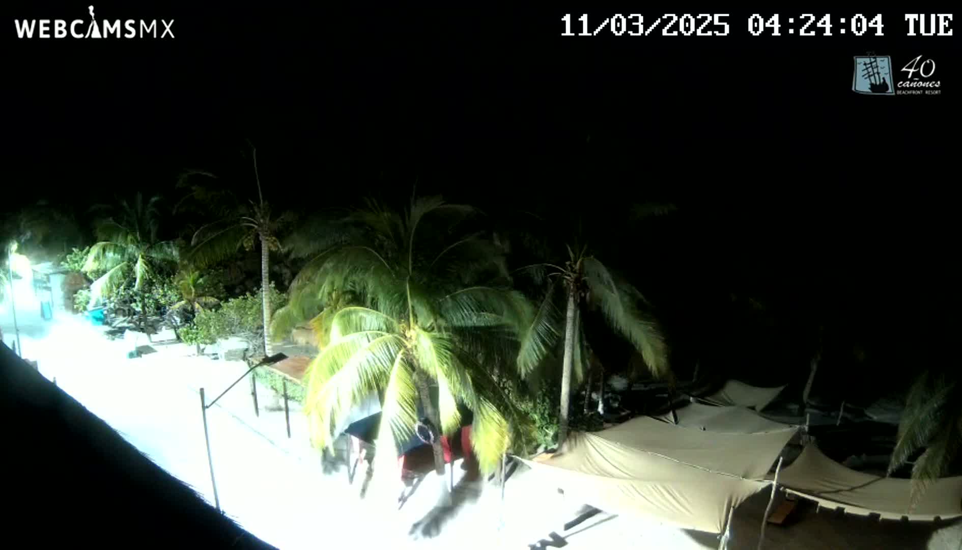 A nighttime, overhead view shows a beach area with palm trees, some temporary structures, and a brightly lit path.