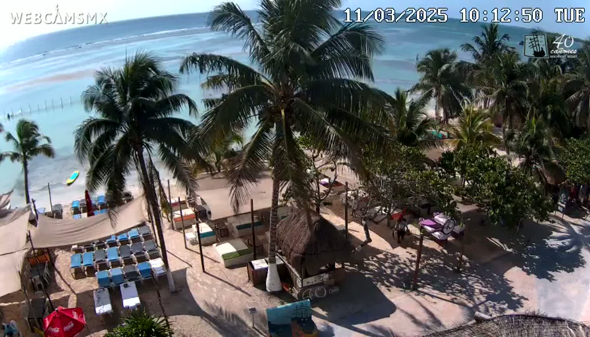 An aerial view shows a beachside restaurant area with palm trees, lounge chairs, and thatched-roof structures under a sunny sky with a calm ocean in the background.