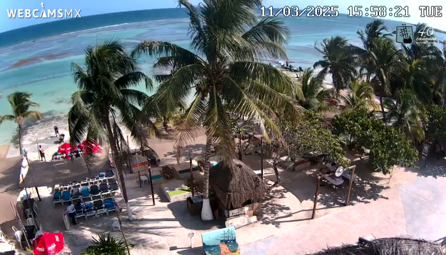 A beachside area with palm trees, lounge chairs, and a thatched-roof hut is visible on a sunny day with calm, clear turquoise water in the background.