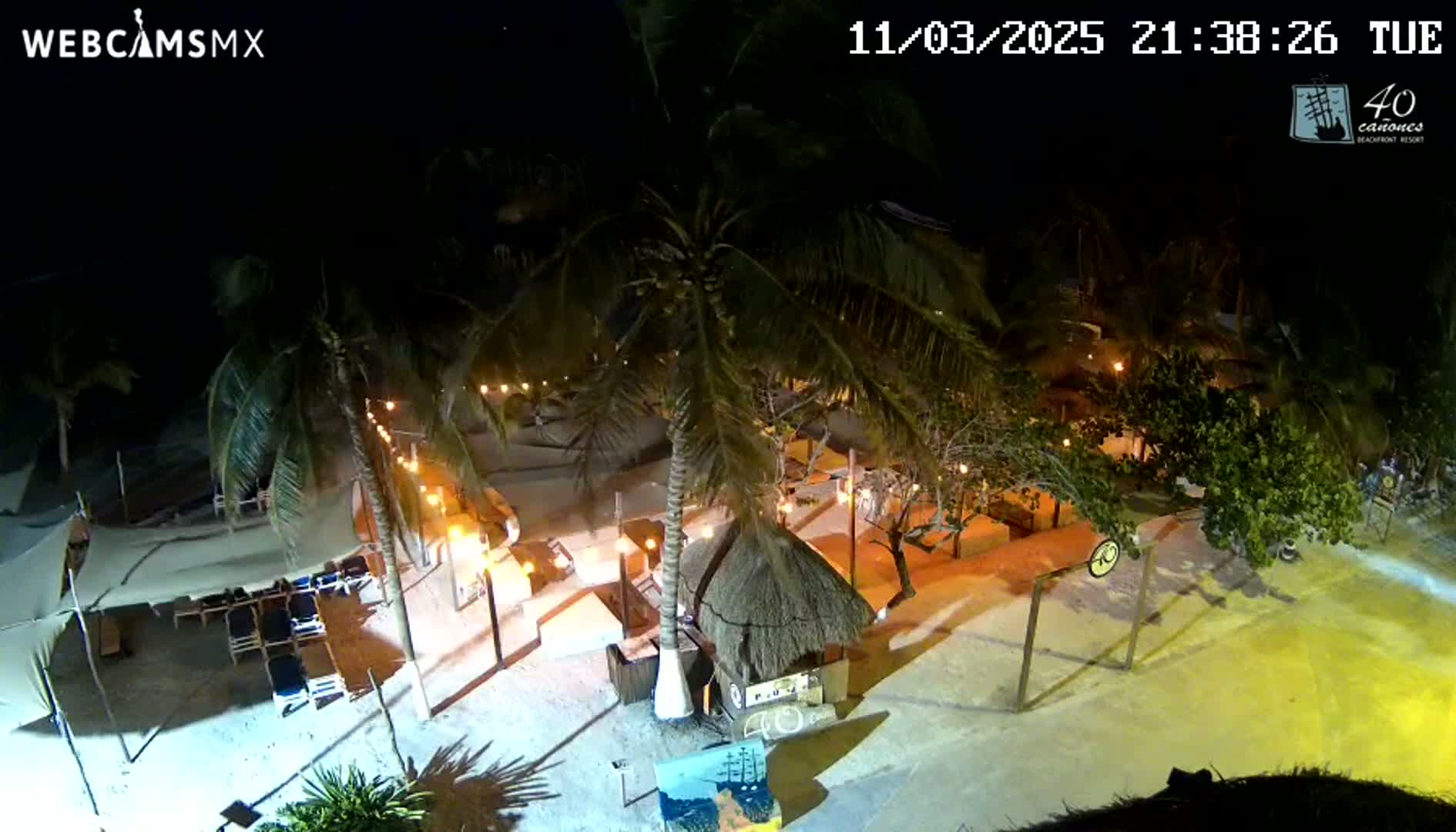 An outdoor nighttime scene shows a beachside area with palm trees, lights, and beach furniture under a clear sky.
