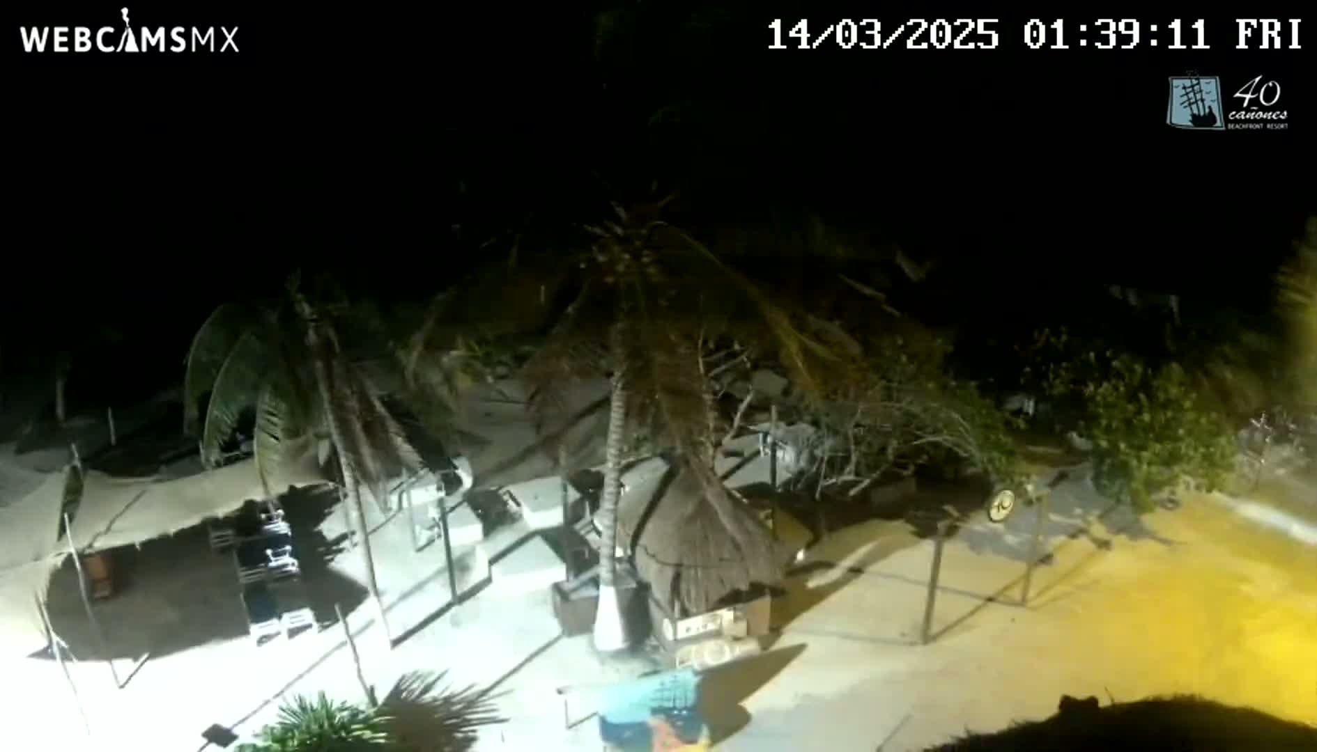A nighttime overhead view shows a beach area with palm trees, beach furniture, and a small hut under mostly clear skies.