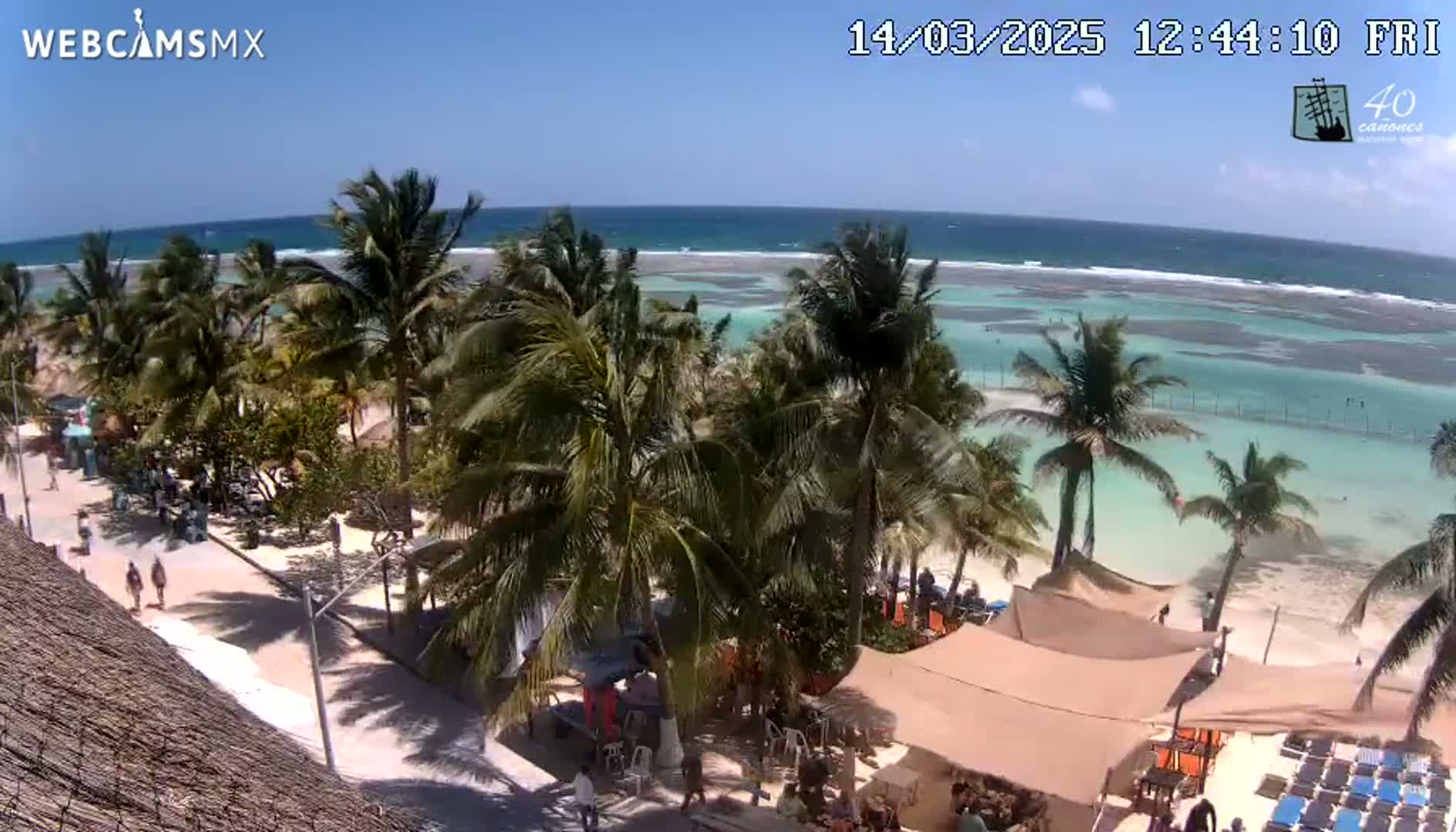 A sunny beach scene shows a sandy shore lined with palm trees, turquoise water, and beach umbrellas with people near a beachfront establishment.