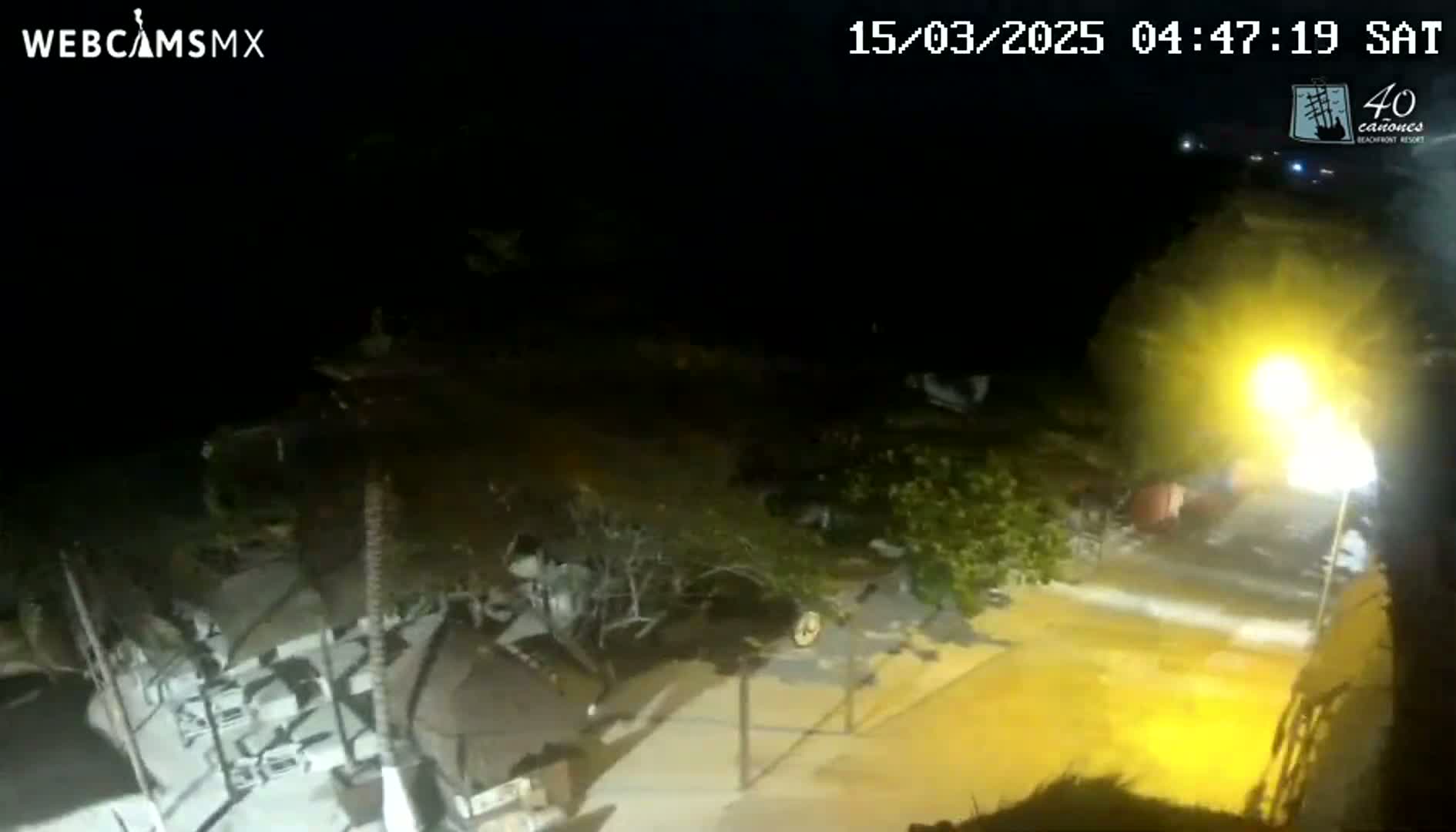 A nighttime outdoor scene shows a flooded area illuminated by a streetlight, with debris scattered around structures and vegetation.