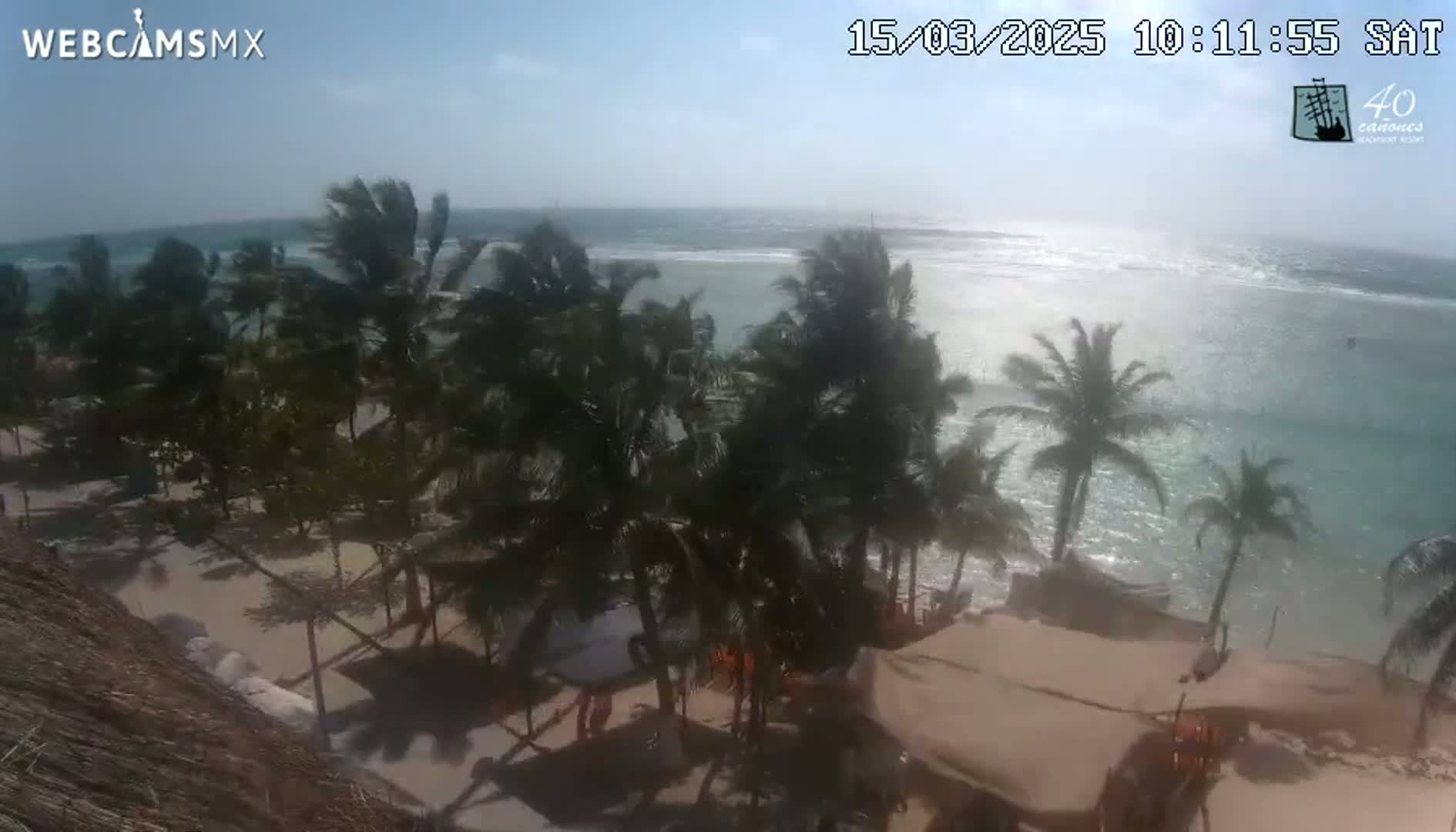 A windy, sunny day at a beach with palm trees and beachside structures.