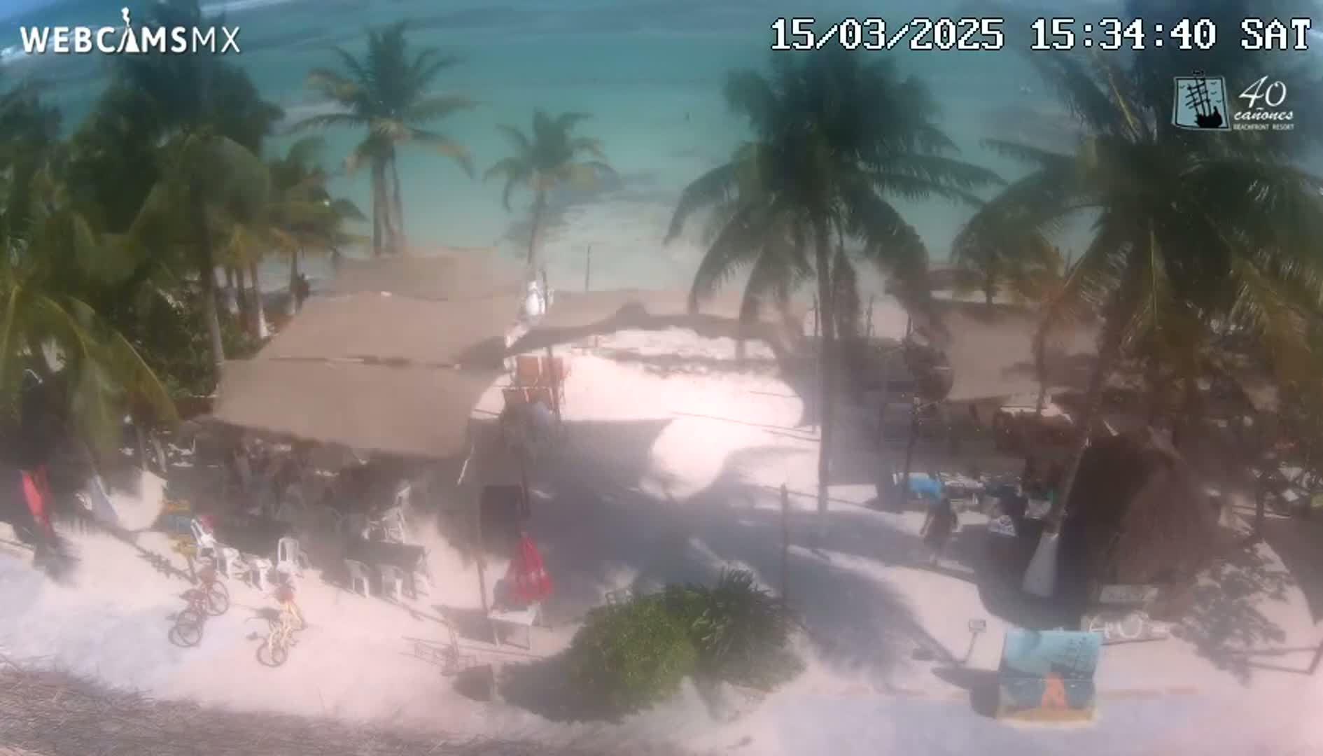 A beachside restaurant with palm trees and several bicycles sits on a sandy beach next to calm, turquoise water on a sunny day.