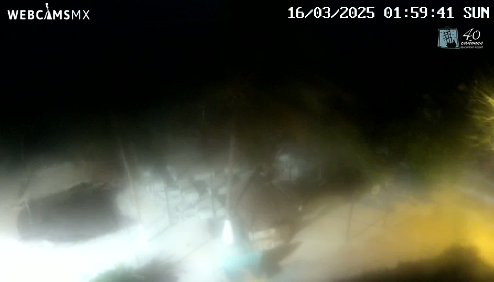 A blurry nighttime image shows indistinct shapes and forms, possibly foliage and structures, obscured by mist or fog.