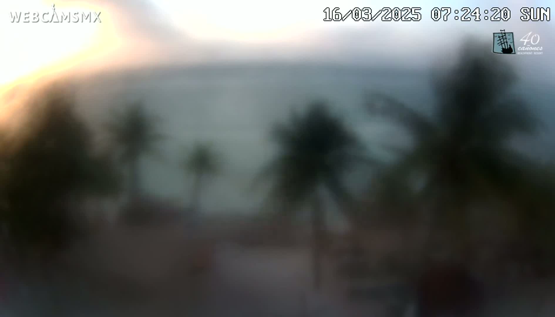 A blurry, out-of-focus image shows a sunrise over a calm body of water, with palm trees in the foreground.