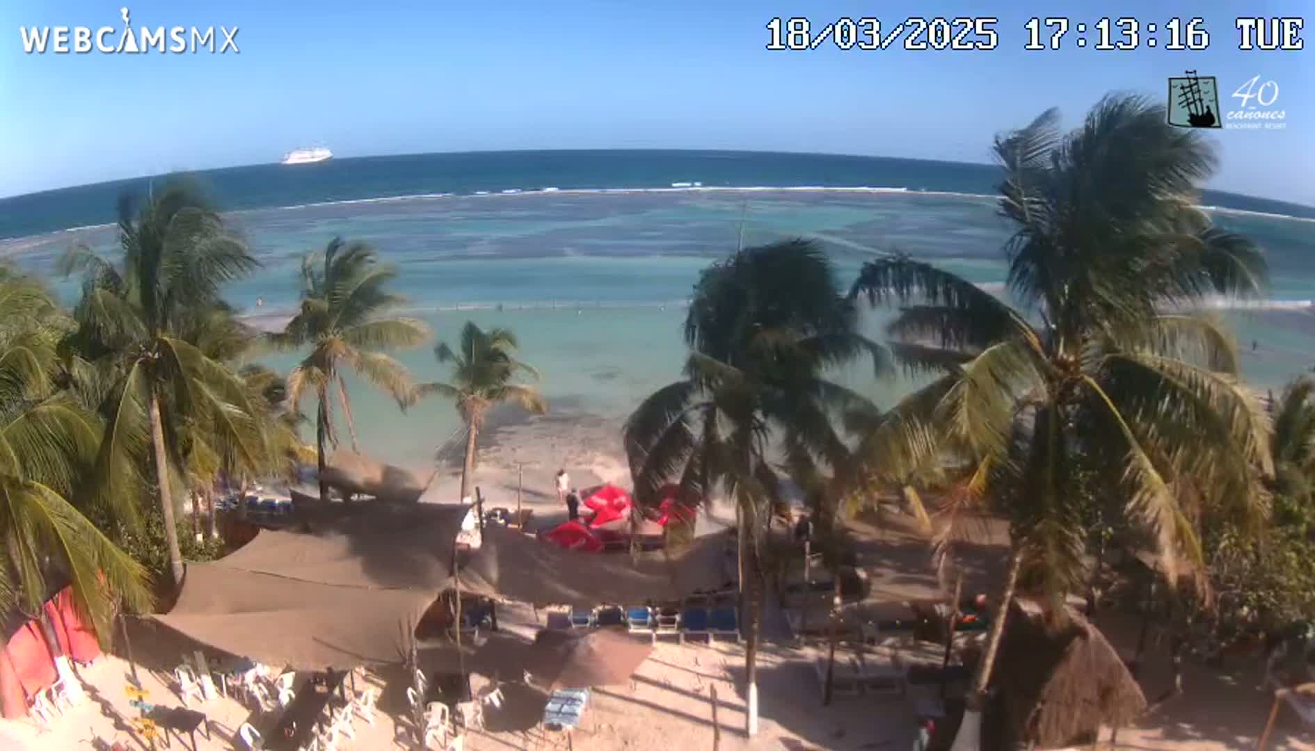 A beachside scene on a sunny day shows a calm ocean with a cruise ship in the distance, palm trees, beach umbrellas, lounge chairs, and thatched-roof structures.
