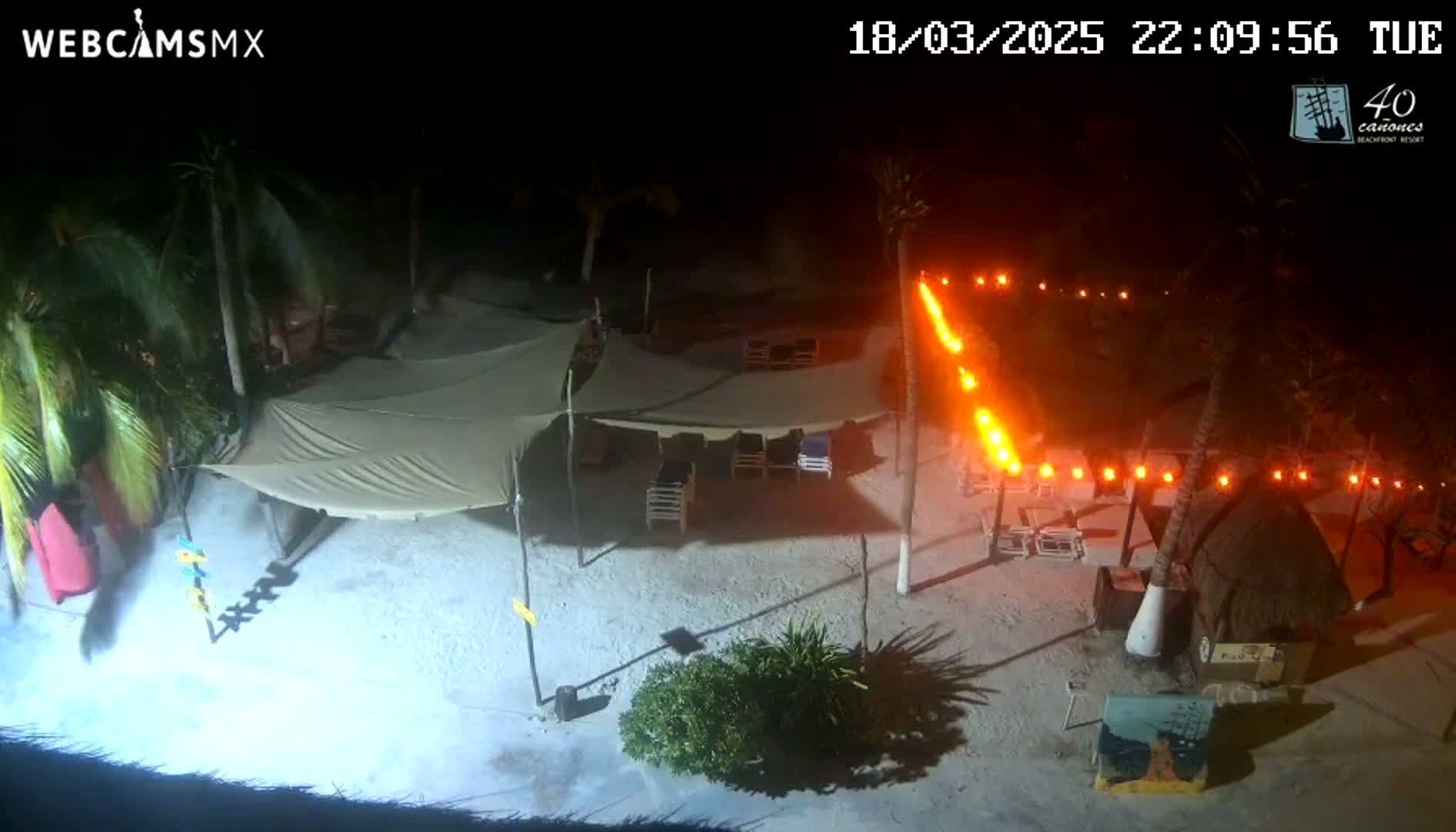A nighttime beach scene shows sandy ground, palm trees, several canopies, lounge chairs, and string lights illuminating the area.