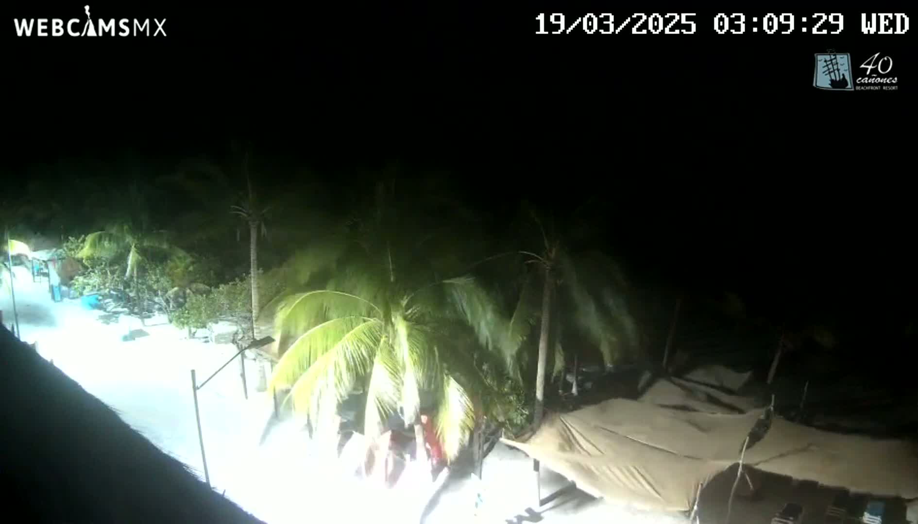 A nighttime, brightly lit view of a beach with palm trees, some structures resembling tents, and a few people near the trees.