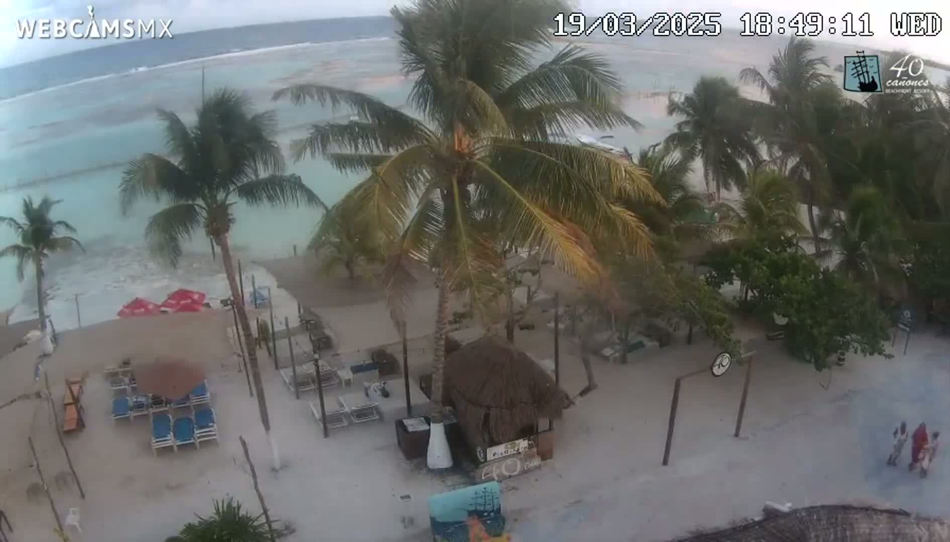 An overcast beach scene shows palm trees, beach chairs, and a small thatched-roof hut on a sandy beach next to a calm, light-blue ocean.