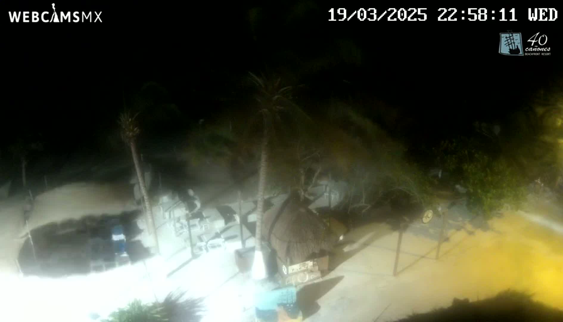 A nighttime, windy scene shows an outdoor area with palm trees, a thatched structure, and patio furniture illuminated by artificial light.