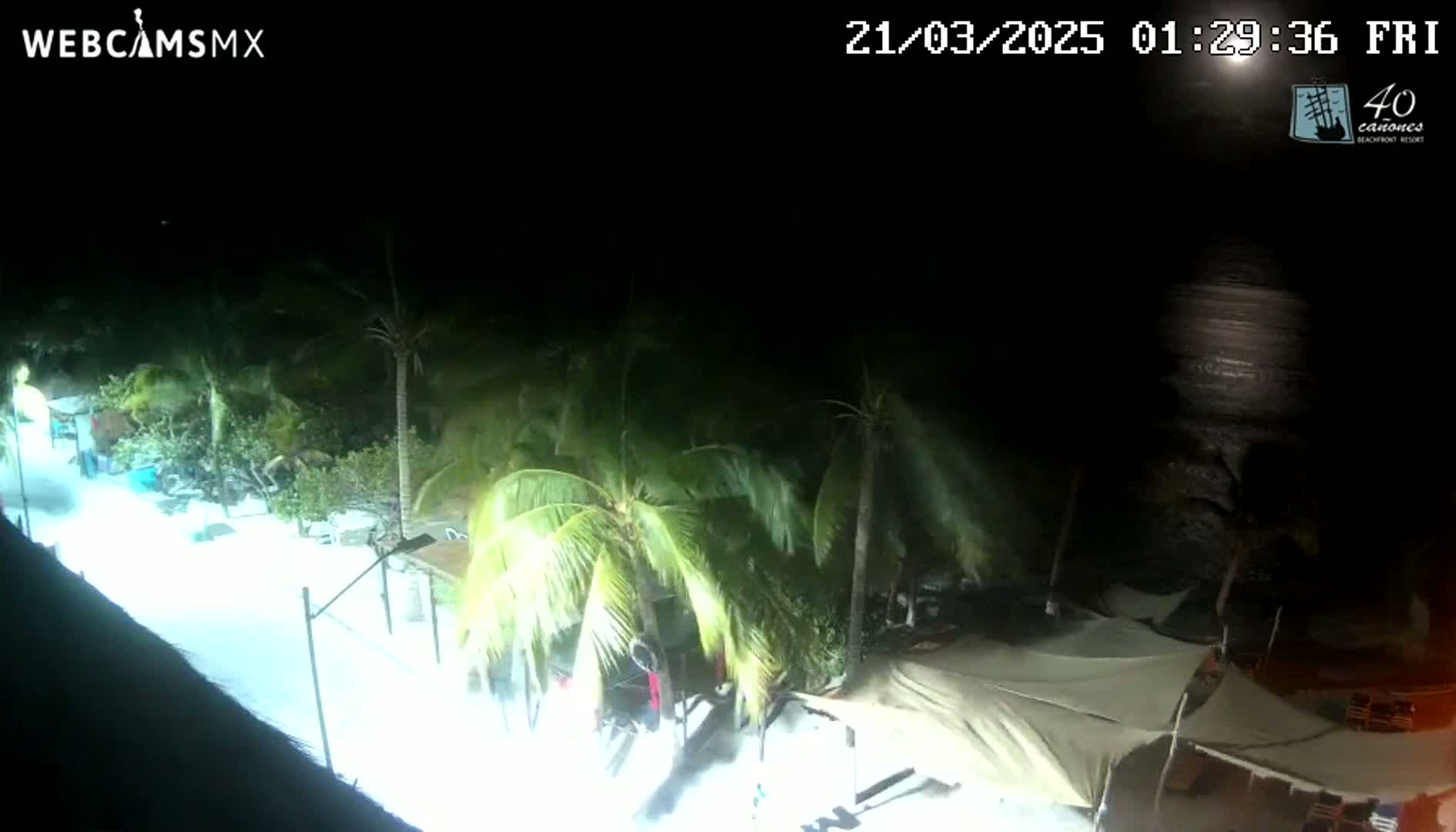 A nighttime beach scene shows palm trees swaying gently near structures with canopies under bright lights, next to a dark ocean.