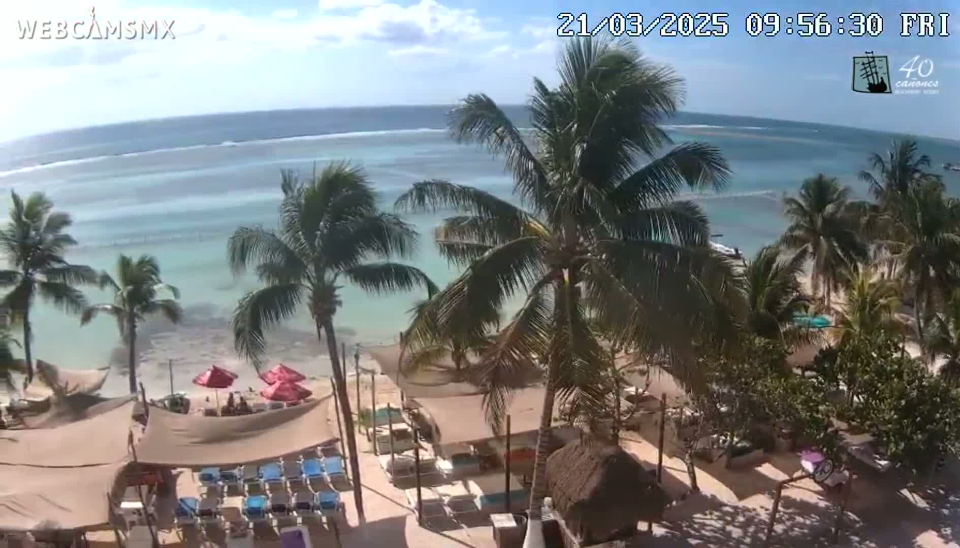 A beach scene with palm trees and beach umbrellas under a mostly sunny sky shows a calm, light-blue ocean.