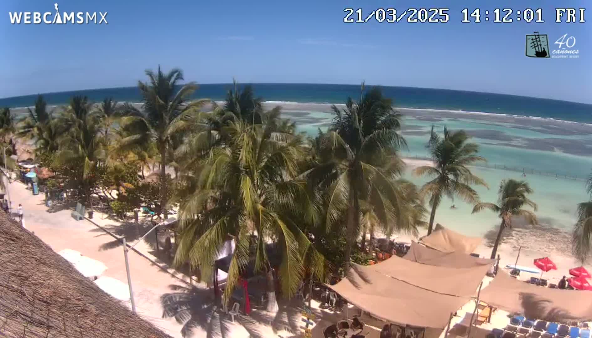 A sunny beach scene shows a stretch of light-blue ocean with a sandy shore lined with palm trees and beach umbrellas, viewed from a slightly elevated vantage point.