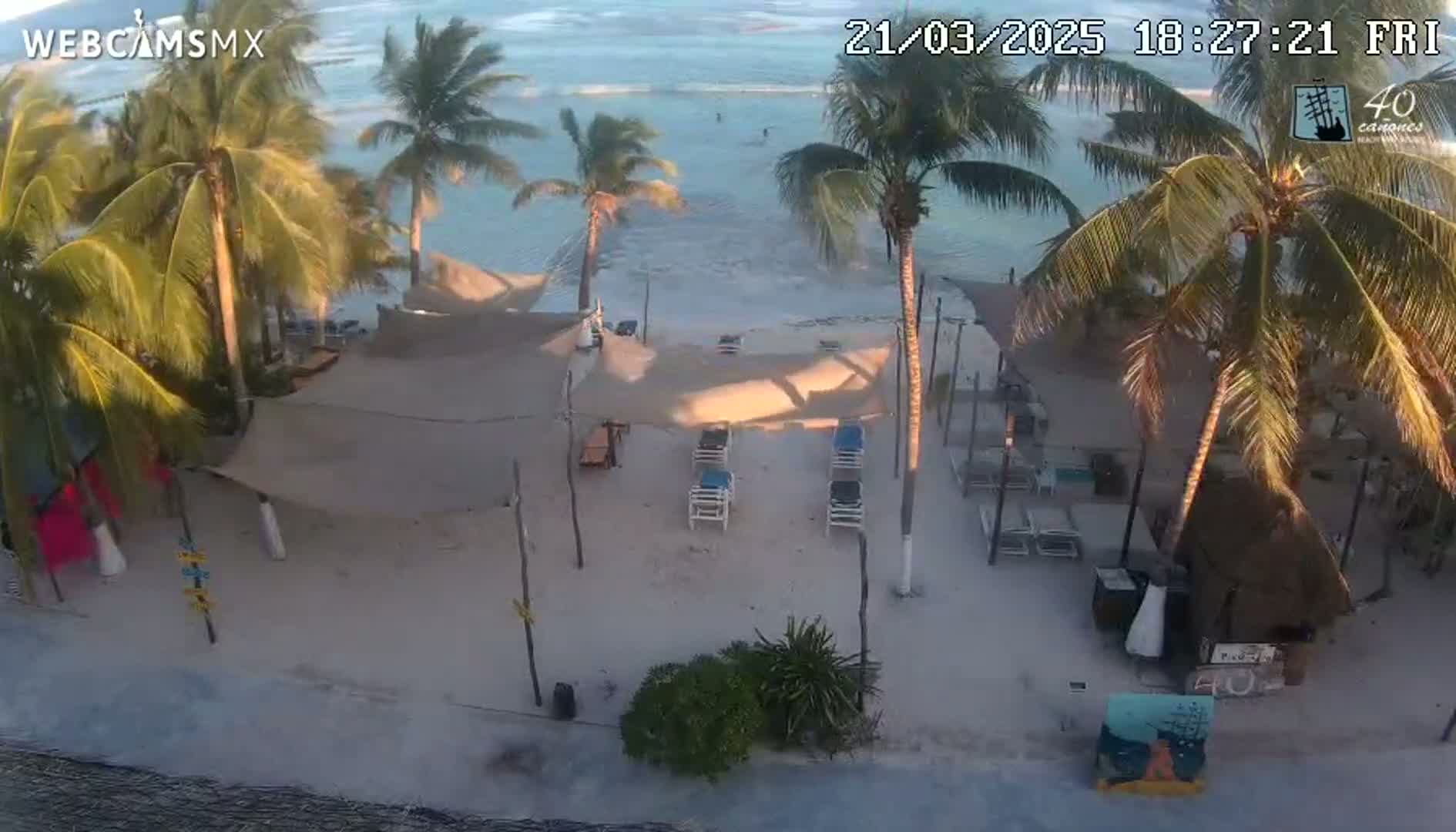 A beach scene at sunset shows several palm trees, lounge chairs under shaded areas, and calm ocean water.