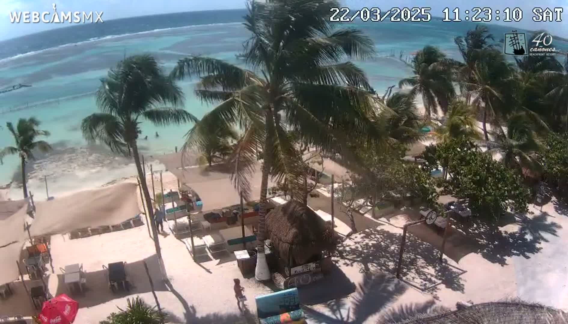 An overhead view of a beachside resort on a sunny day shows palm trees, beach umbrellas, and lounge chairs near a calm, turquoise ocean.