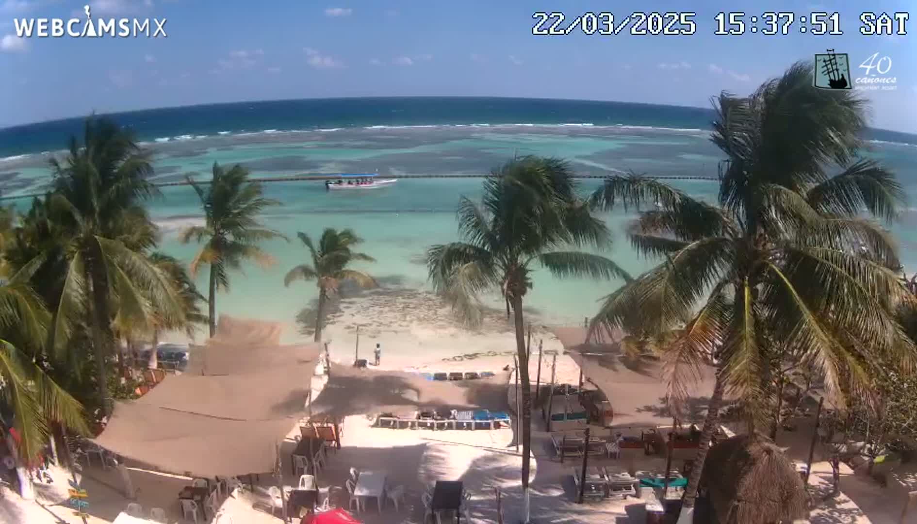 An elevated view shows a beach with turquoise water, palm trees, and outdoor seating under a beige awning on a sunny day.