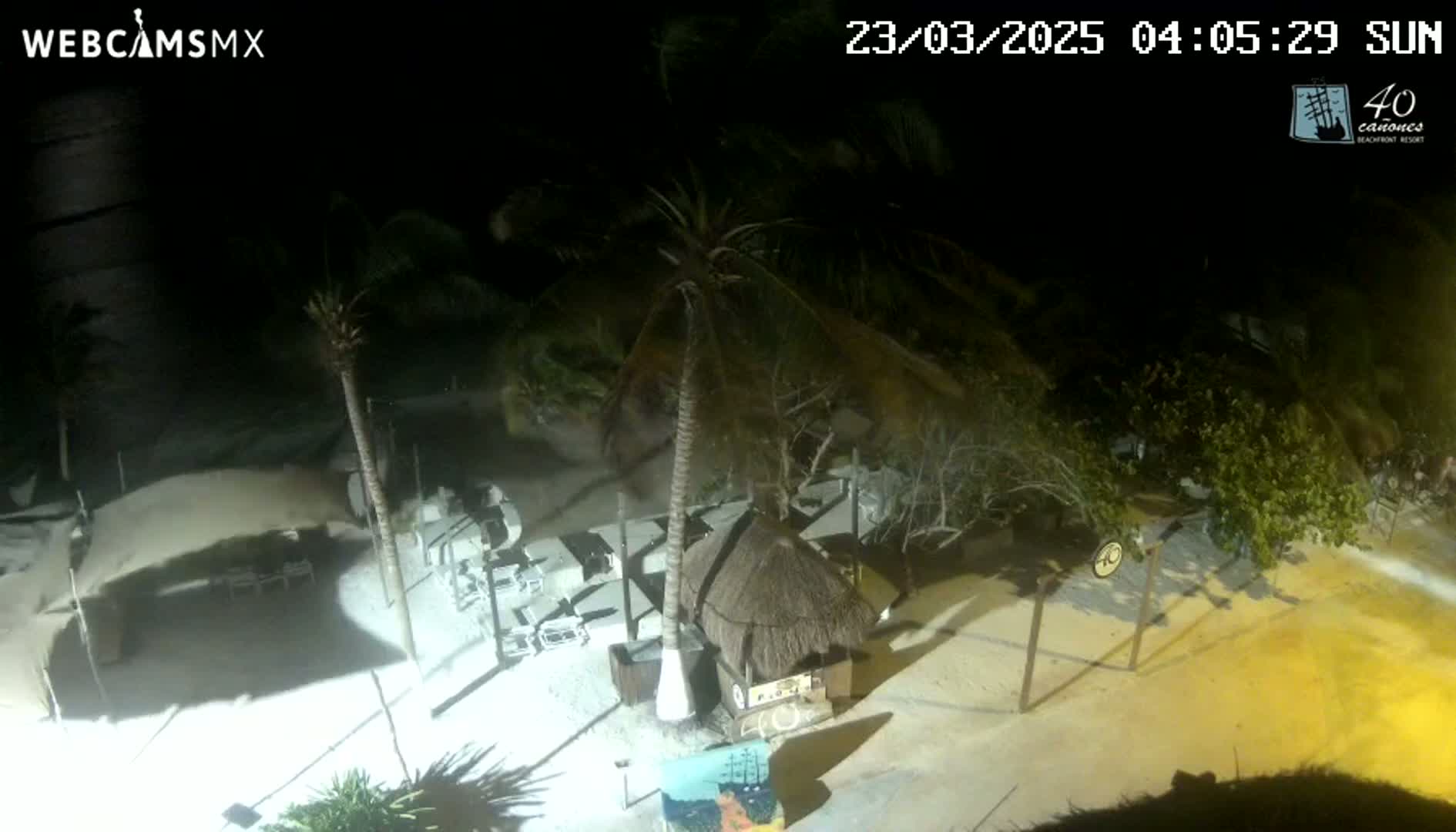 A nighttime aerial view of a beach area shows palm trees, outdoor furniture, and a thatched-roof structure under windy conditions.