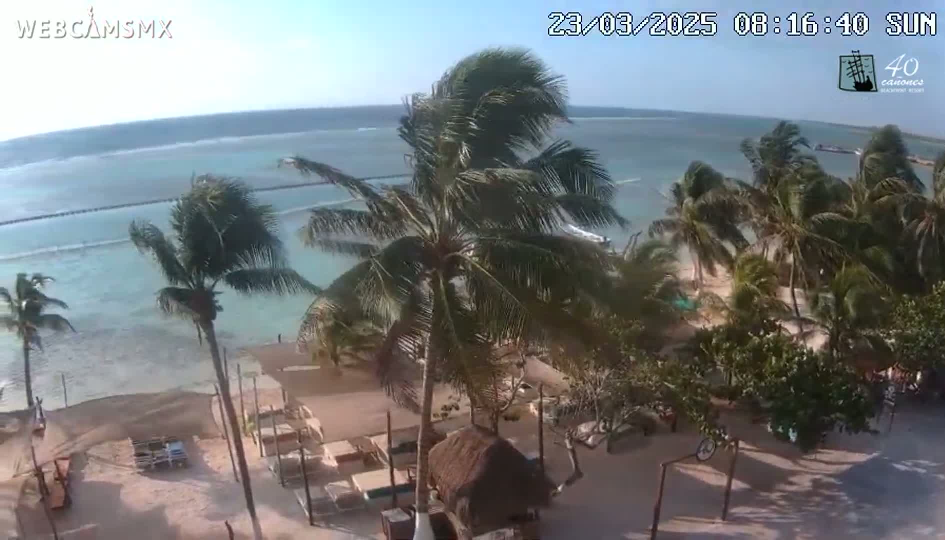 A beachside view shows a partly sunny day with windy conditions, palm trees swaying, and a sandy area with beach furniture near calm, light-blue water.