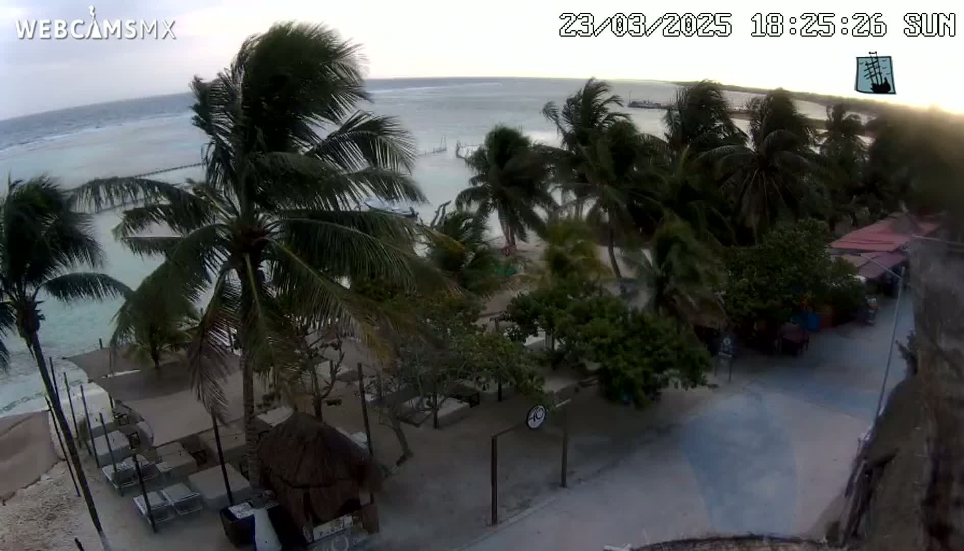 An overhead view shows a beachside scene with palm trees swaying in the wind, a calm ocean, and a street with buildings beyond.