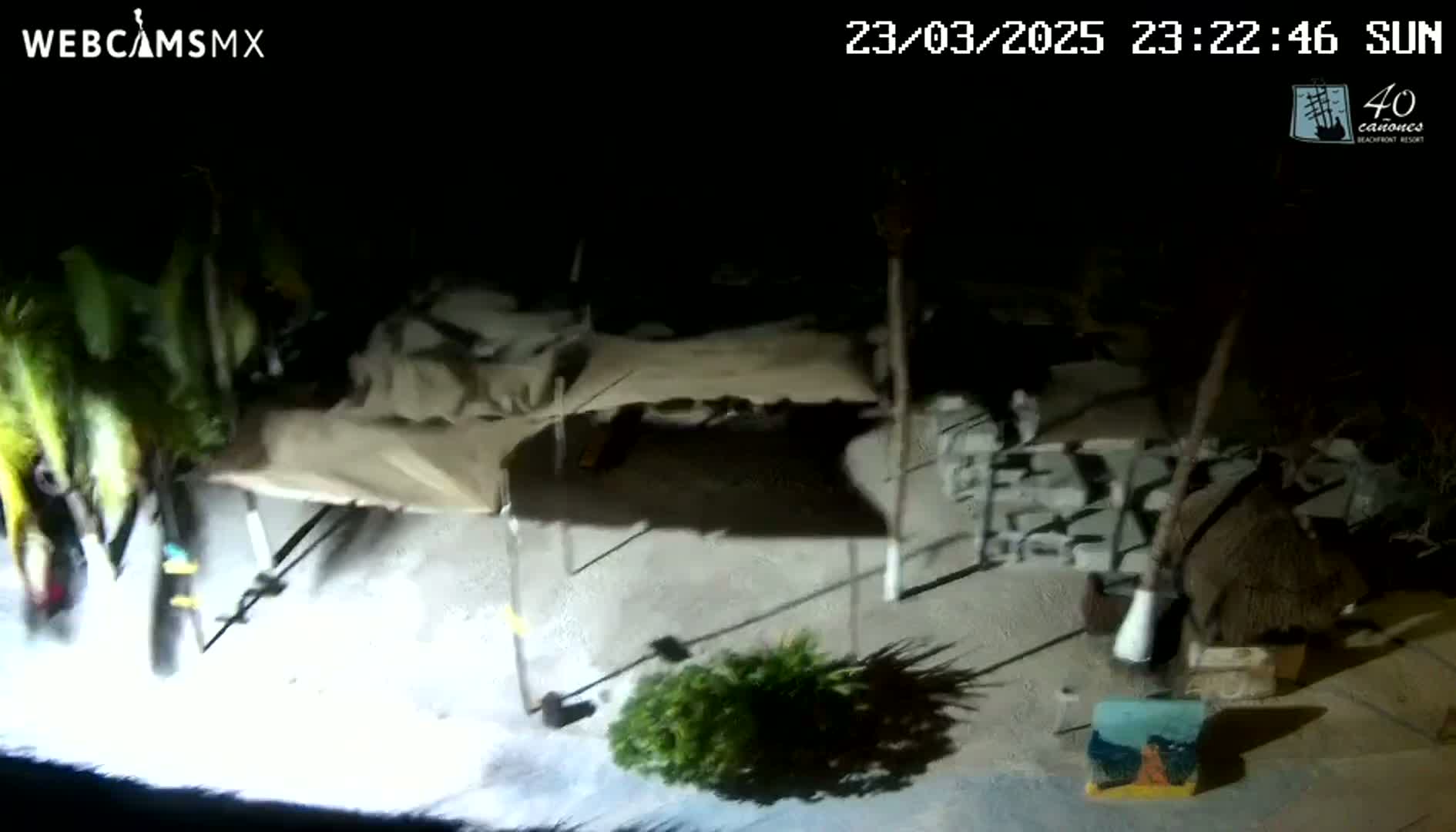 A nighttime, outdoor scene shows several small structures with tan coverings, some rocks, and a small green plant, possibly under artificial light.