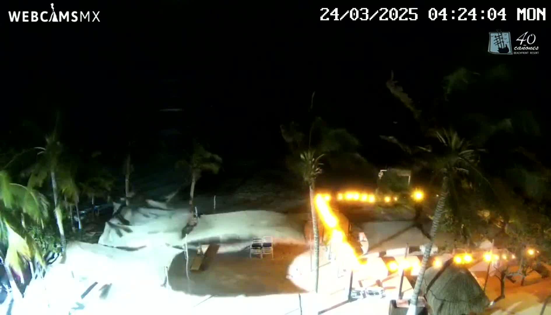 A nighttime beach scene shows palm trees swaying in the wind, waves lapping at the shore, and illuminated outdoor seating areas.