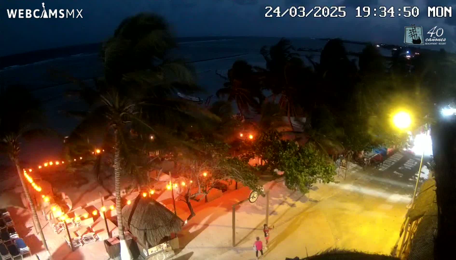 An illuminated beachside area at night, with palm trees swaying in the wind, overlooking a dark ocean.