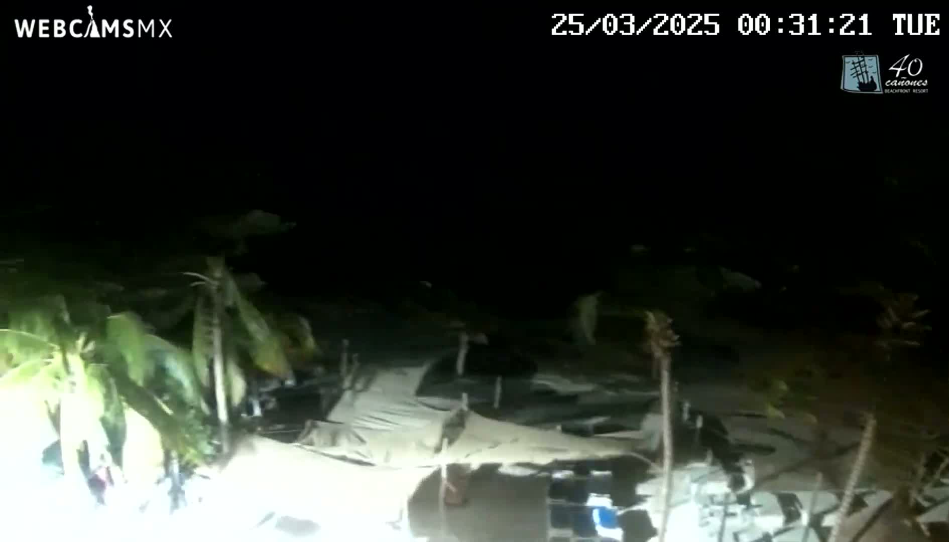 At night, under dark skies, several light-colored objects, possibly tents or coverings, are scattered amidst vegetation, including palm trees.