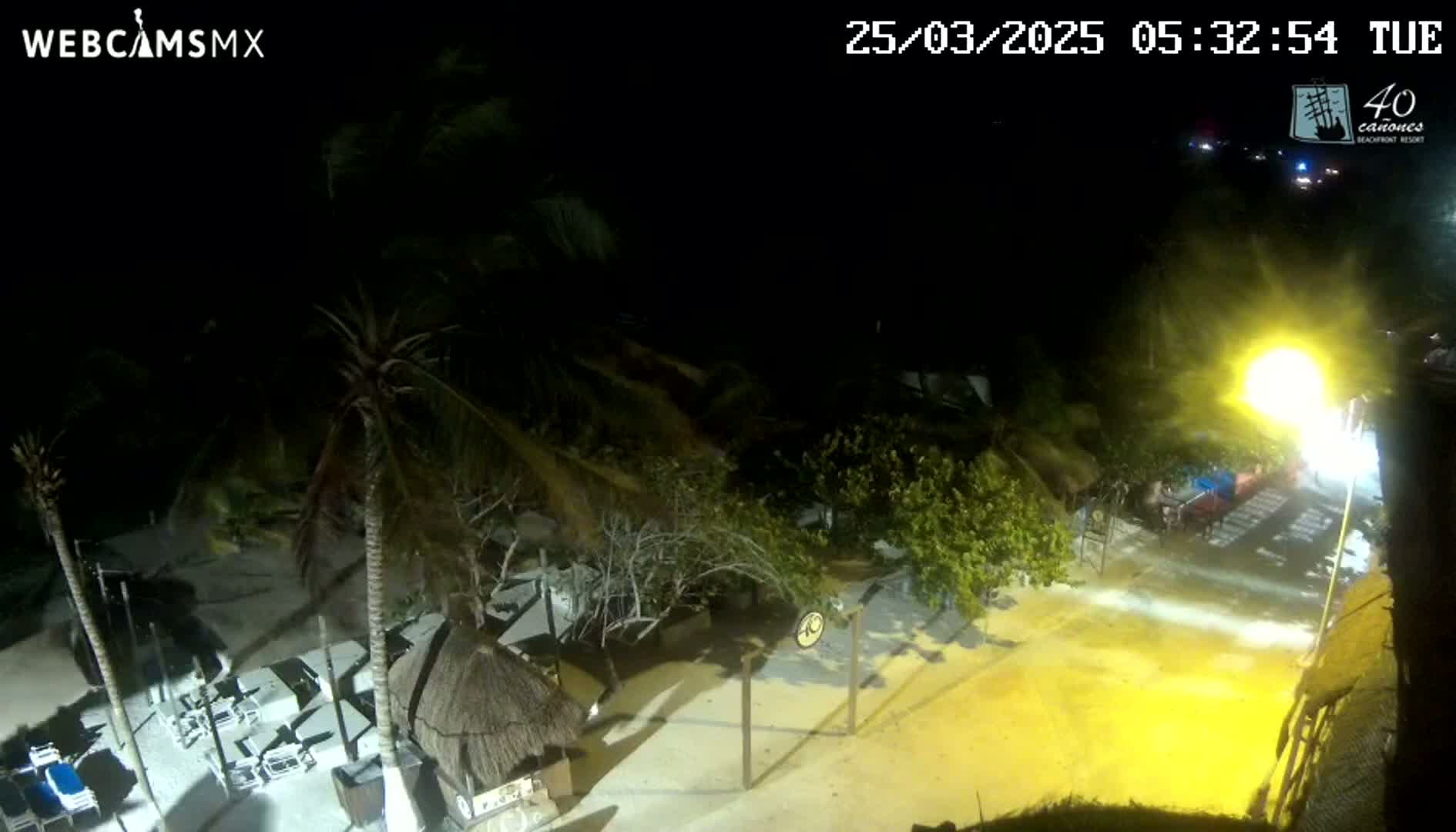 A nighttime beach scene shows palm trees, beach furniture, and a thatched-roof structure illuminated by bright artificial light.