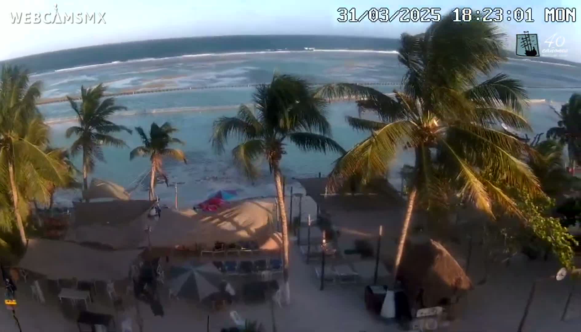 A beach scene with palm trees, beach umbrellas, and outdoor seating areas overlooks a calm ocean with some small waves under a clear sky.