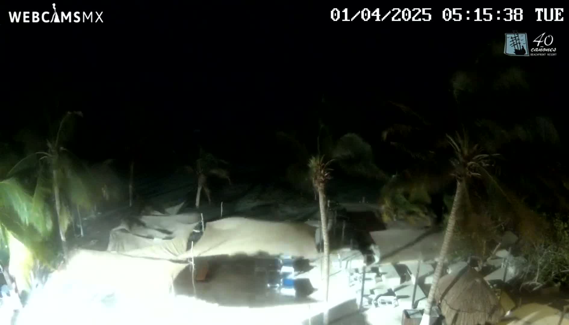 At night, under windy conditions, palm trees sway near a beachside area with covered seating and several vehicles.