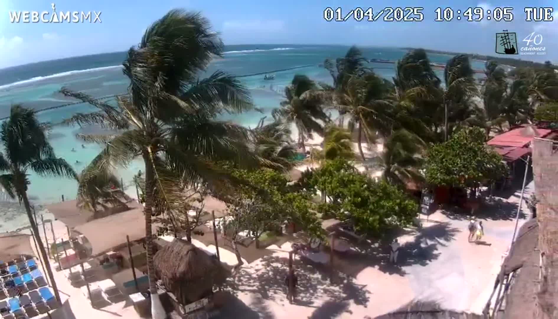 A windy, sunny day at a beach resort shows palm trees swaying in the breeze, a sandy beach with some people in the water, and beachside buildings and lounge chairs.