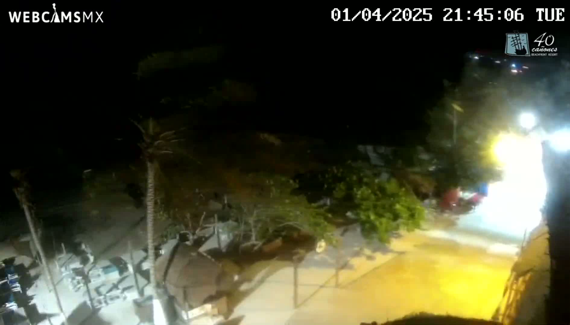 A nighttime, overhead view shows a beach area with palm trees, some buildings, and a street illuminated by artificial light.