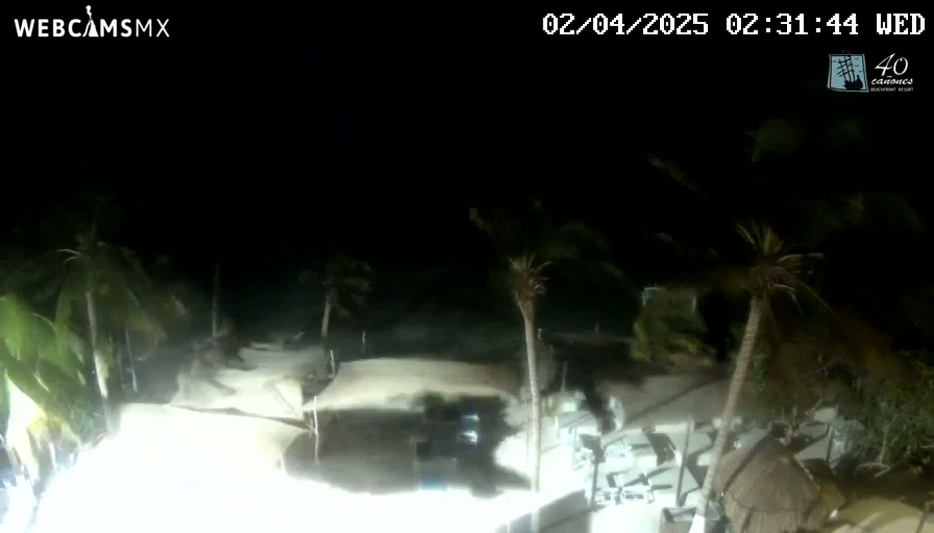 A nighttime view of palm trees bending in strong winds over a beachside area with structures illuminated by artificial light.