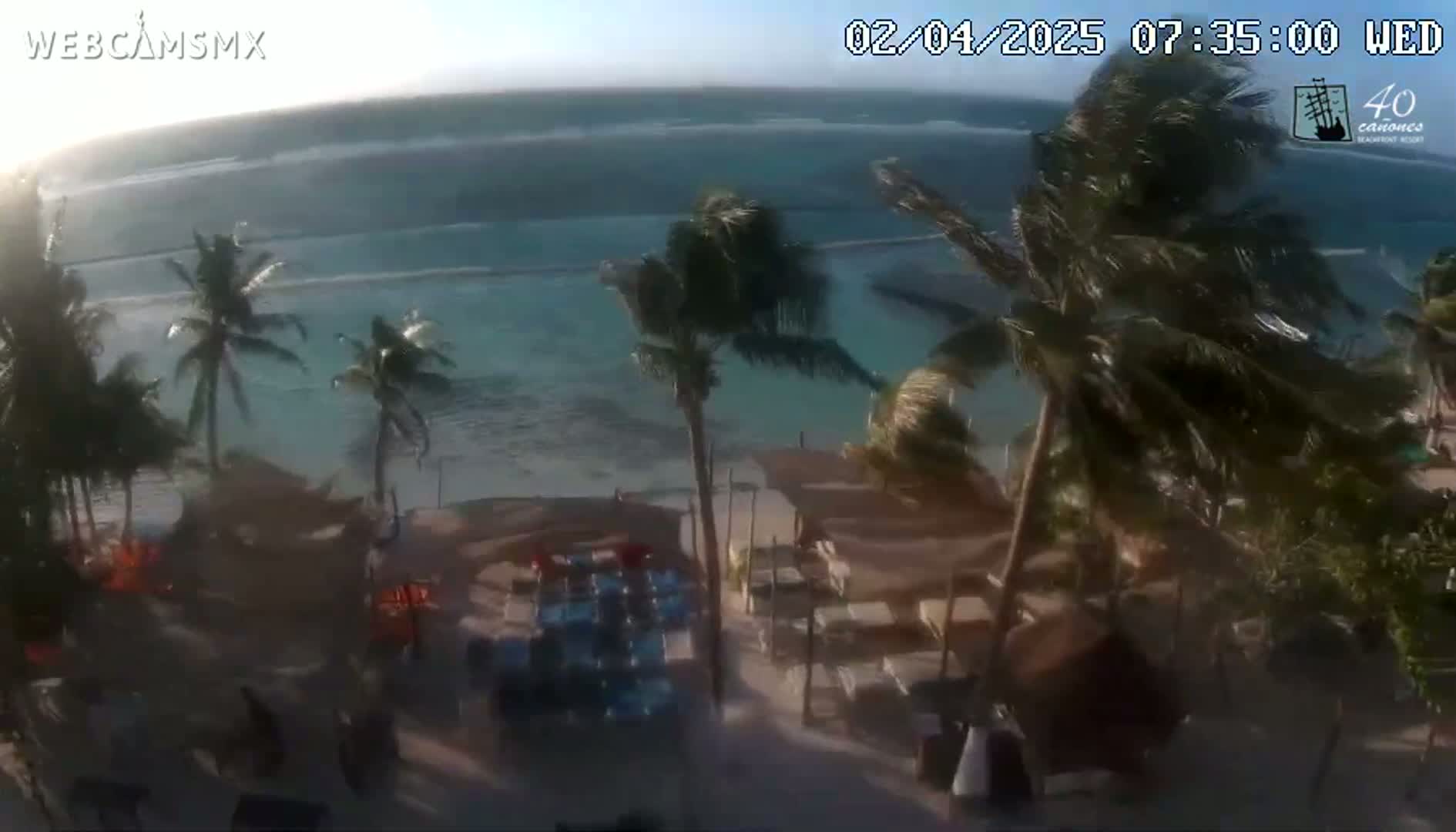 An elevated view shows a beach scene with palm trees bending in a windy, sunny condition, overlooking beach chairs and tables near the ocean.
