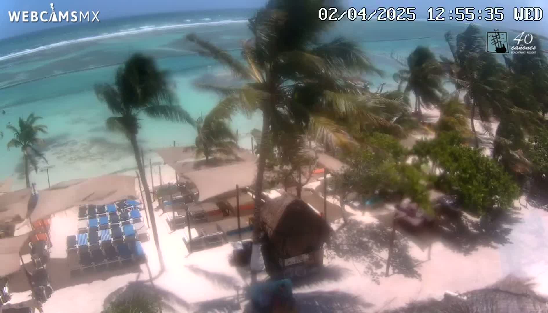 A beach resort with palm trees and lounge chairs is situated on a sandy beach next to clear, turquoise water under a partly sunny sky with a light breeze.